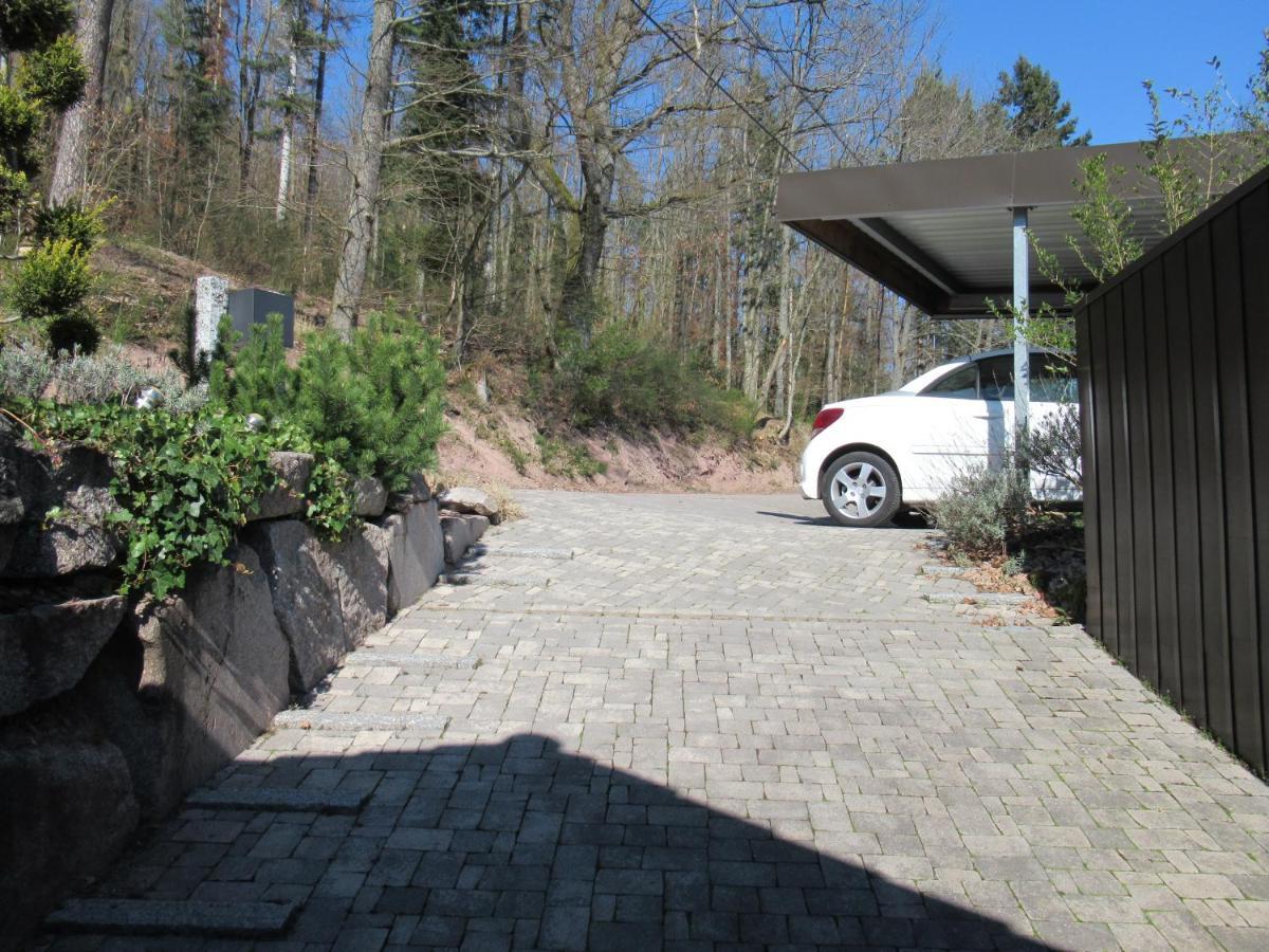 Le Clos D'Aure. Oberhaslach Exterior foto